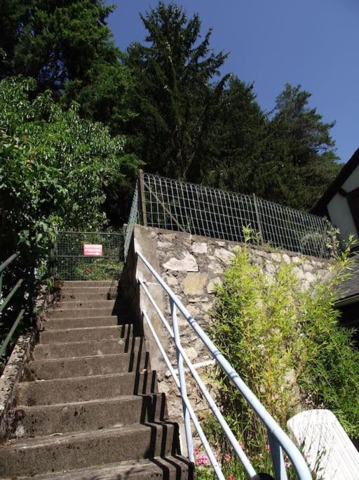 Apartamento Vue Du Pont Entraygues-sur-Truyère Exterior foto