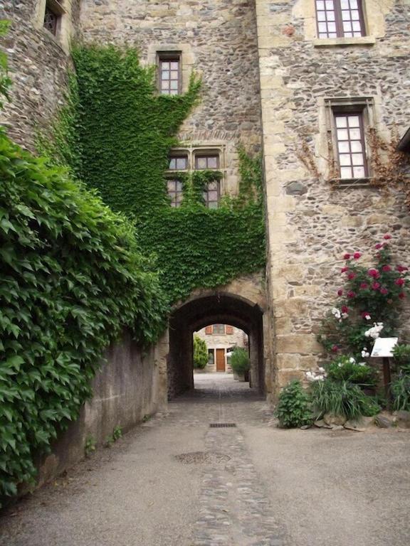 Apartamento Vue Du Pont Entraygues-sur-Truyère Exterior foto