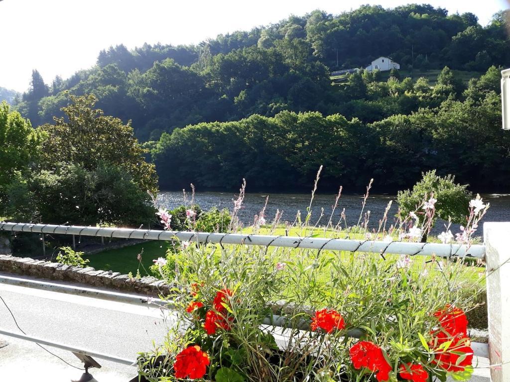 Apartamento Vue Du Pont Entraygues-sur-Truyère Exterior foto