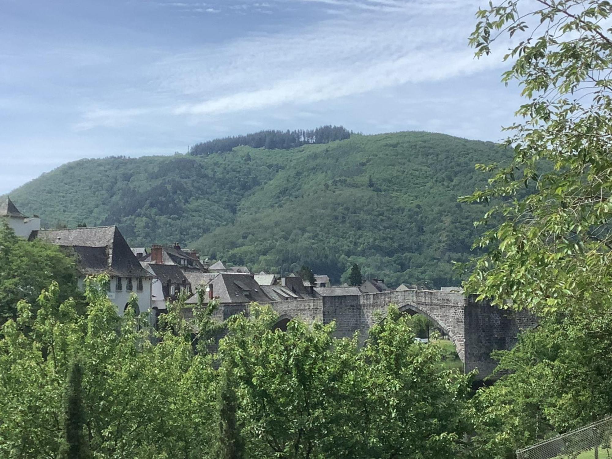 Apartamento Vue Du Pont Entraygues-sur-Truyère Exterior foto